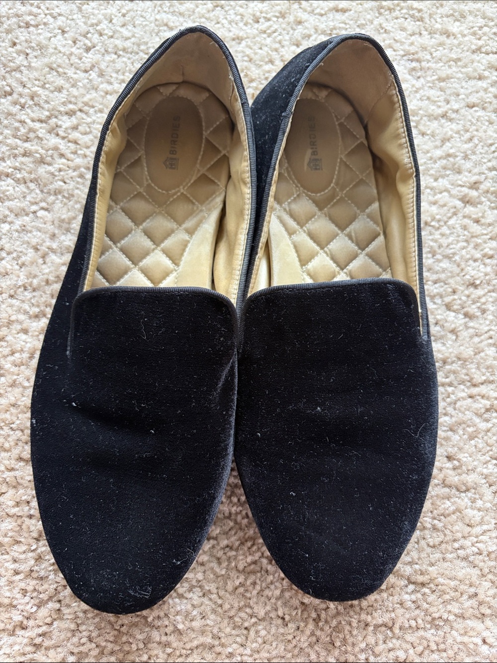 Birdies Black Velvet Slip-On Loafers